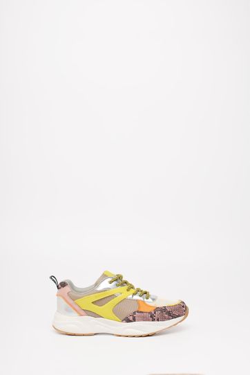 

Tenis Rapsodia Army Colors Multicolor Talla: 26.5 y color: multicolor